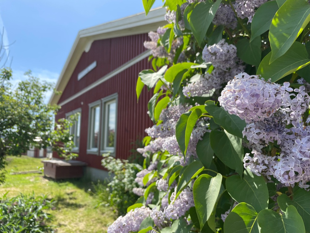 Förskolebyggnad i Alingsås