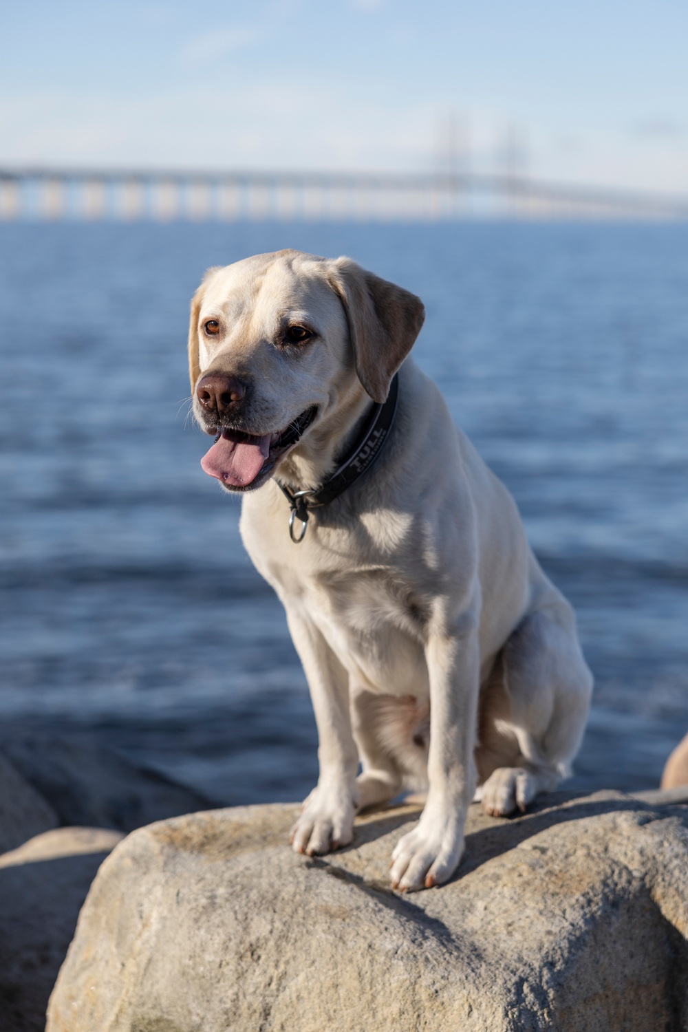 Max med Öresundsbron i bakgrunden. Foto André de Loisted