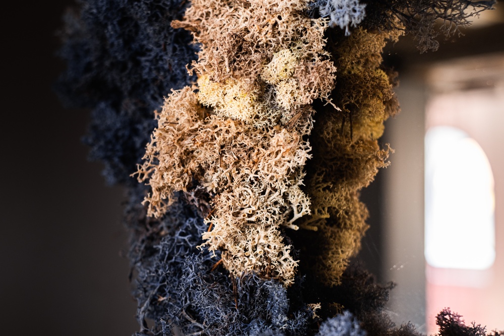 In_Tangible_FDC-18. Project Lichen Leftovers. Design Louise Hederström. Photo Daniel Engvall