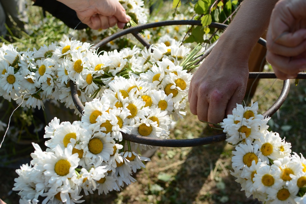 Blommor