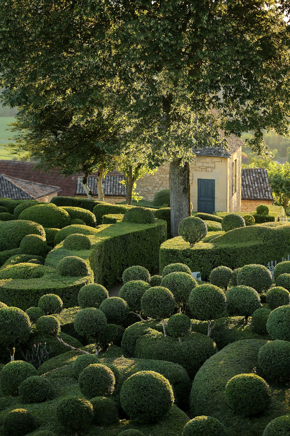 Julien de Cerval, The Gardens of Marqueyssac, France, designed in the 1860s © Laugery – The Gardens of Marqueyssac, Dordogne, France