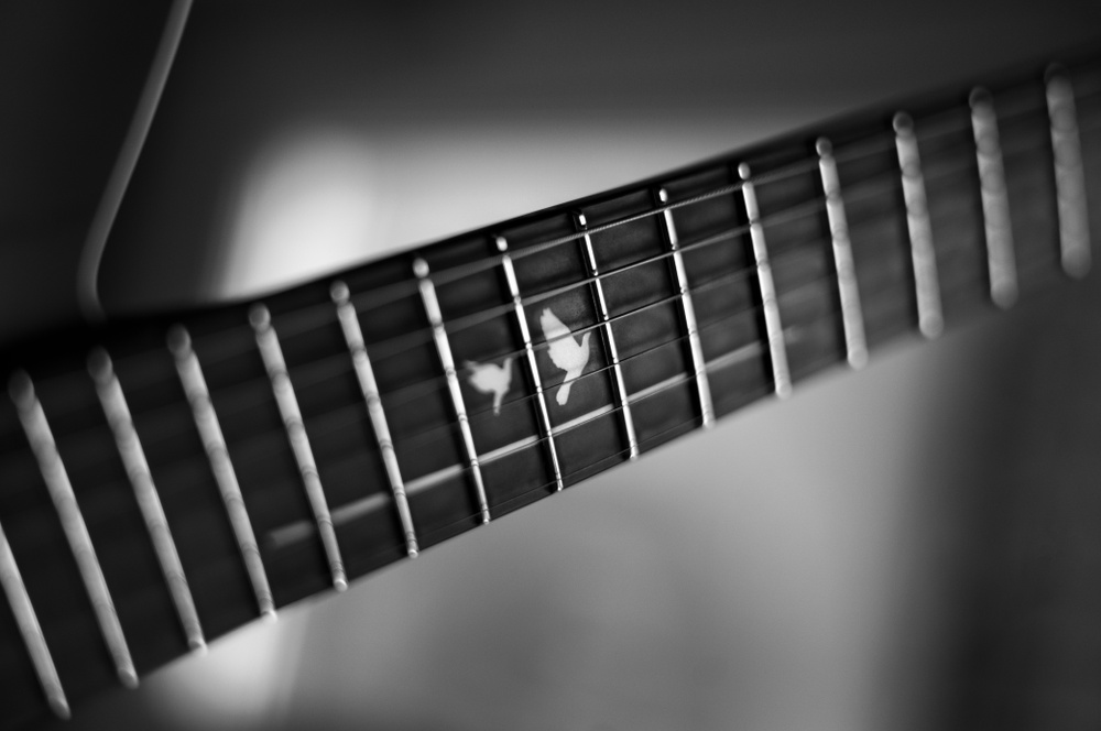 Strandberg Sälen APS Monochrom - Alan Schaller Limited Edition