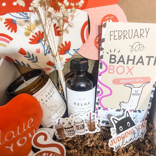 February 2024 Box