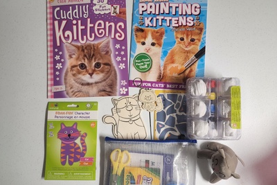 NEW Craft n' Play Monthly Themed Subscription Craft Box for Kids Ages 4-6 Photo 3