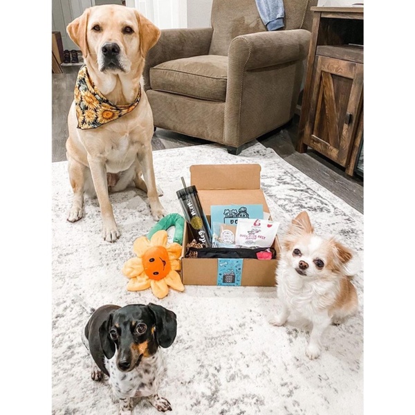 Dog moms and fur babies monthly box - Cratejoy