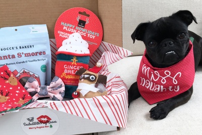 SealedWithPugKisses Specialty Dog Boxes Photo 1