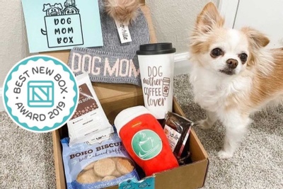 A chihuahua standing next to a Dog Mom subscription box filled with a travel coffee cup, dog treats and dog toys.