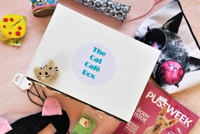 The Cat Cafe Box Photo 1