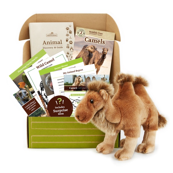 Camel Stuffed Animal edZOOcation™ Gift Box