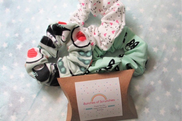 Bunches of Scrunchies Box Photo 1
