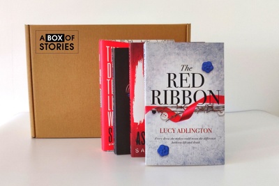Young Adult (YA) Monthly Surprise 4 x New Book Box