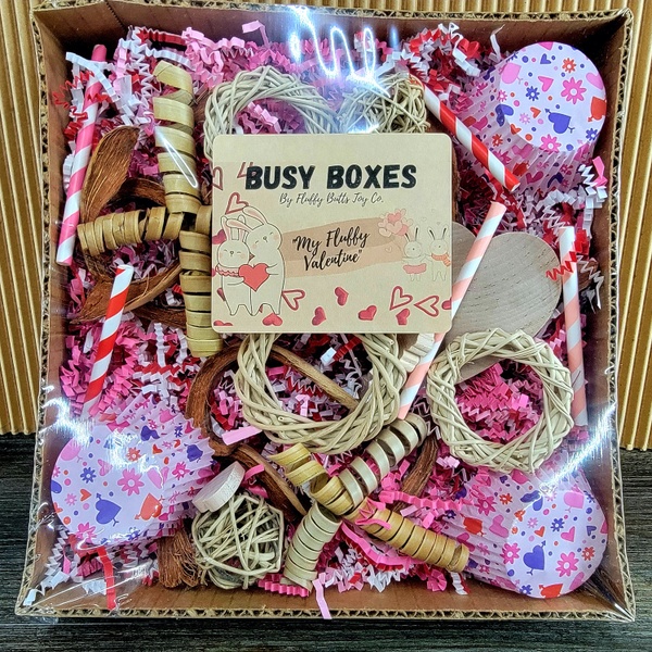 The 2022 Valentine Busy Box