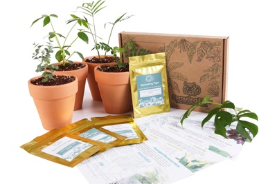 Monthly Tropical Houseplant Seed Subscription Box Photo 3
