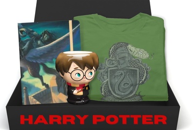 Harry Potter Box Photo 1