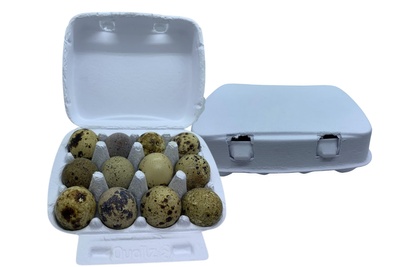 24 Fresh Quail Eggs Photo 3