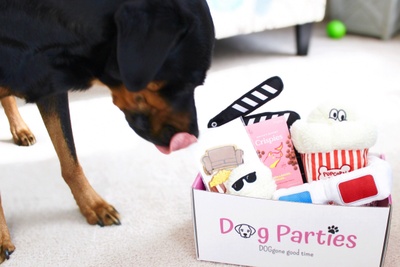 Dog Parties Box Photo 3