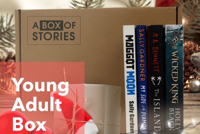 Young Adult (YA) Monthly Surprise 4 x New Book Box Photo 1