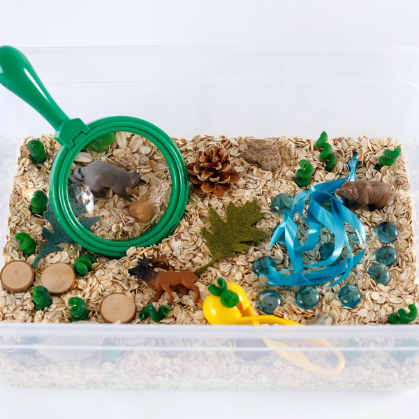 Forest Sensory Bin