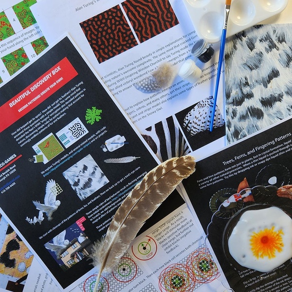 deCODING nature's spots & stripes with art & science  