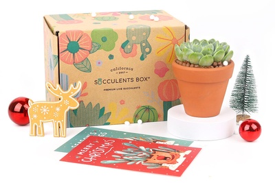 Succulents Box - Monthly Subscription Box Photo 3