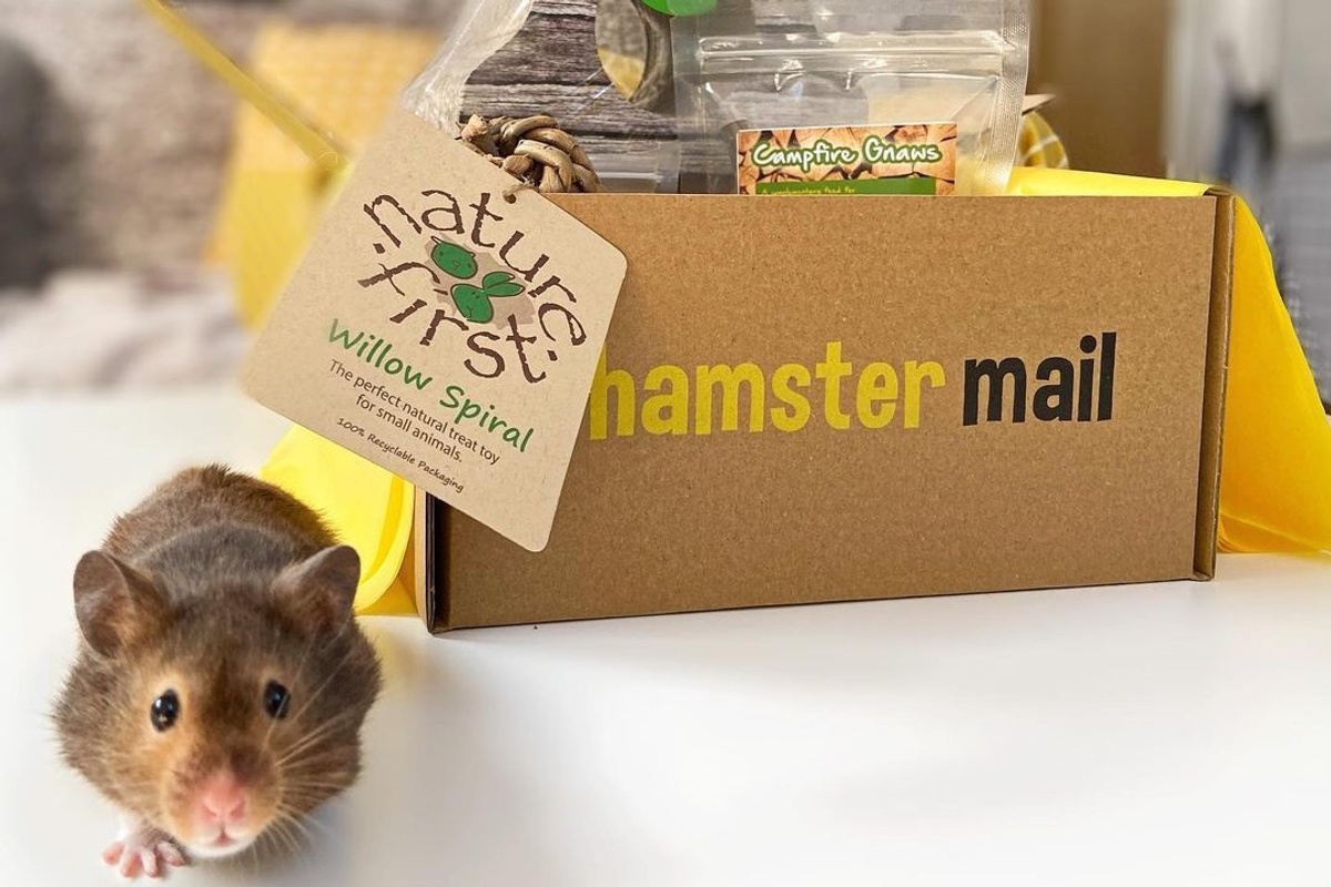 Hamster Mail Photo 1