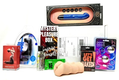 Mystery Pleasure Box™ Sex Toy Subscription Box Photo 3