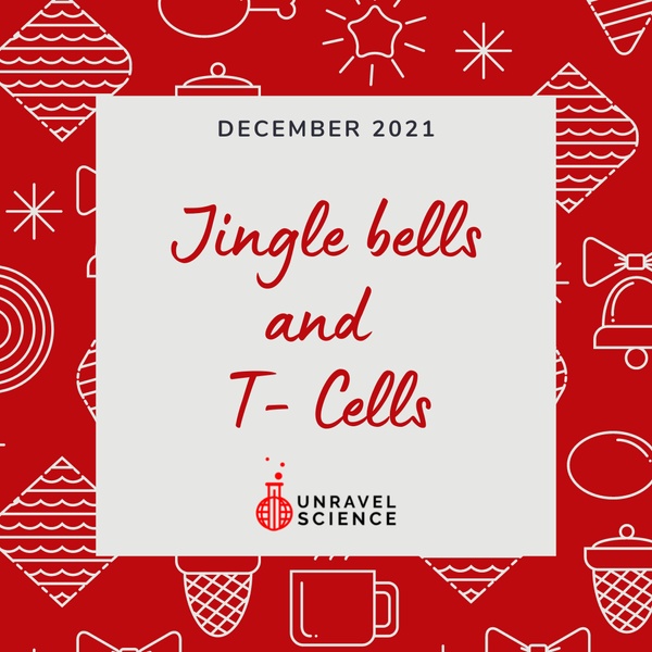 'Jingle Bells and T-Cells' Box