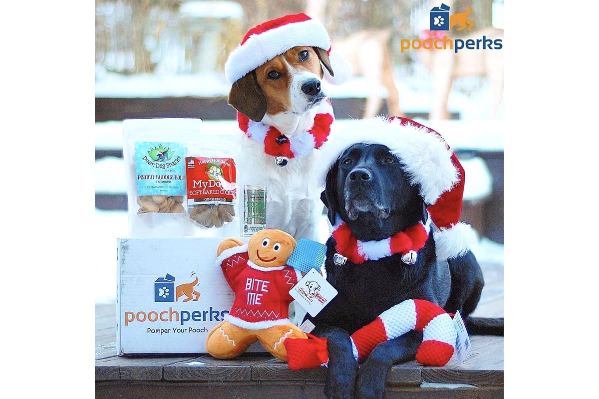 Pooch Perks Premium Customized Dog Boxes Photo 1