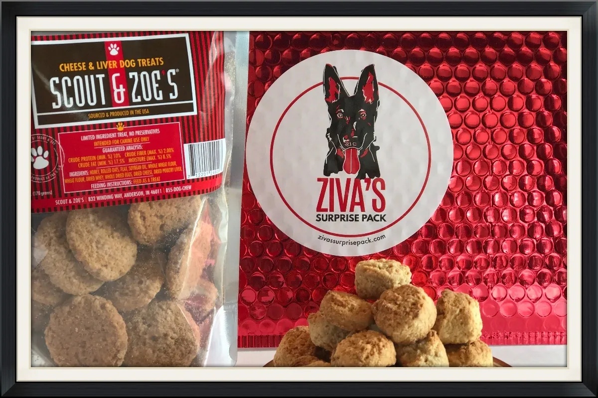 Ziva's Surprise Pack for Multiple Dog Homes Photo 1