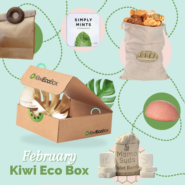 February Kiwi Eco Box
