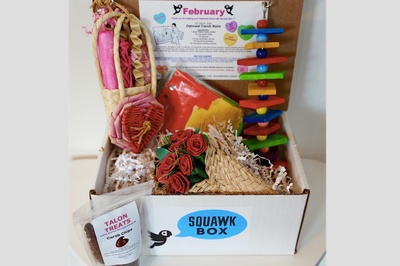 Squawk Box Photo 2