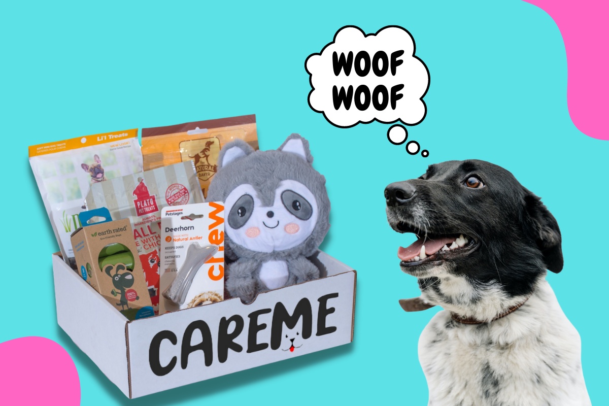 Customized premium dog subscription box, With each purchase we donate to homeless animals!- CareMebox Photo 1