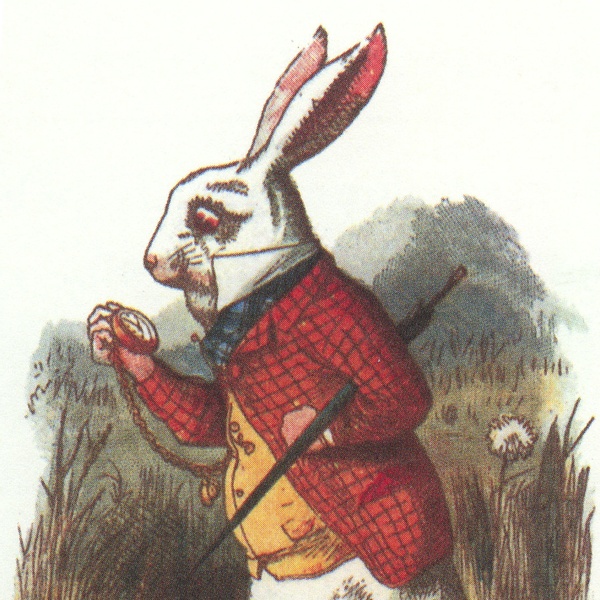 Follow The White Rabbit into Spring