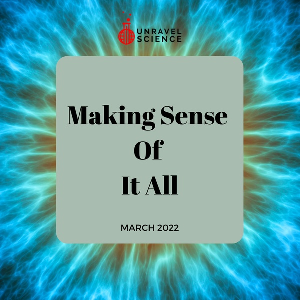 "Making Sense of It All" Box