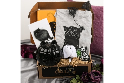 An open CatLady subscription box filled with a black cat t-shirt, black cat ear headband, a black cat card and more.