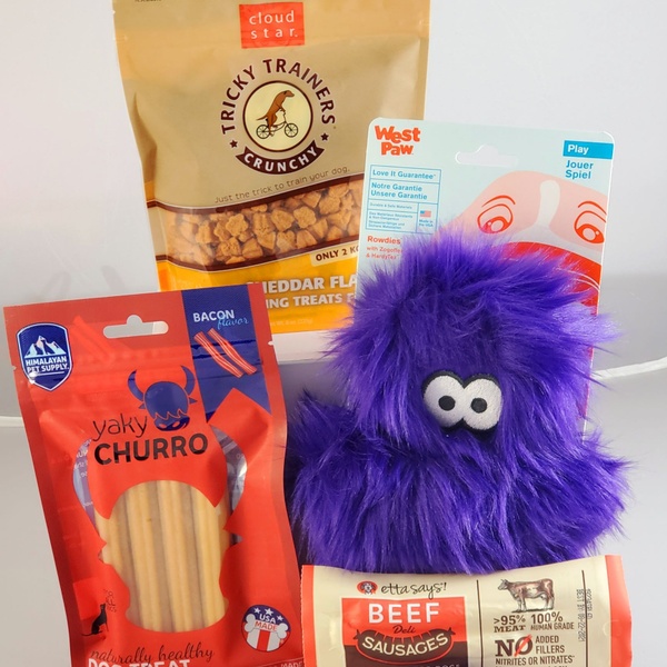 January 2020 Everyday Toys and Treats Care Package (Medium Dogs)