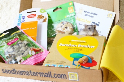 Hamster Mail Photo 2