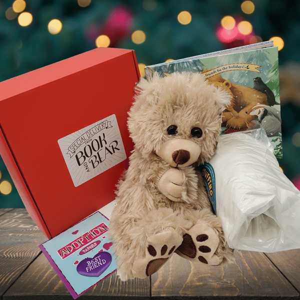Christmas Book and Bear Box