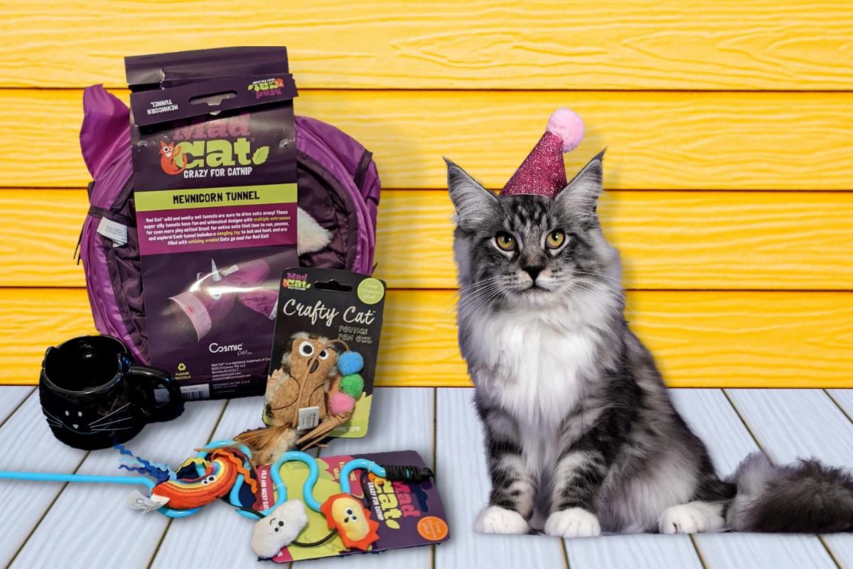 Unboxing the Bizarre™ Peculiar Pet Holiday Box Photo 1