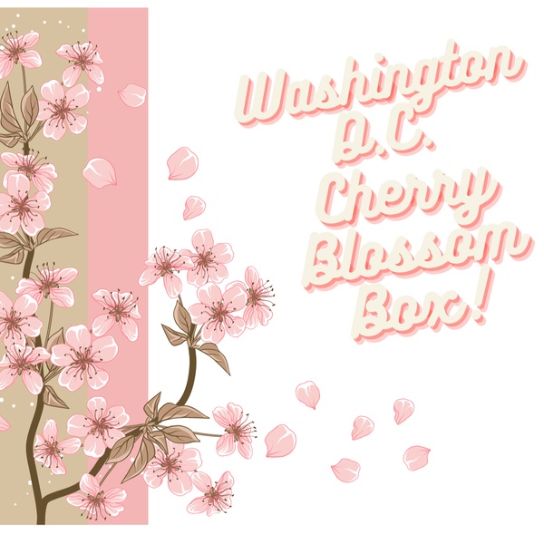 The Washington D.C, Cherry Blossom Box