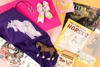 Horse Lovers Mystery Box - Every-Other Month Photo 2