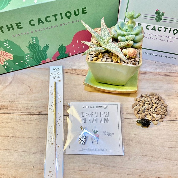 January '22 box - 'Aloe there, 2022!'