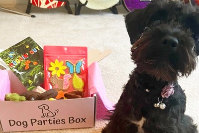 Dog Parties Box Photo 2