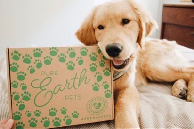 Pure Earth Pets Eco Friendly Dog Box Photo 2