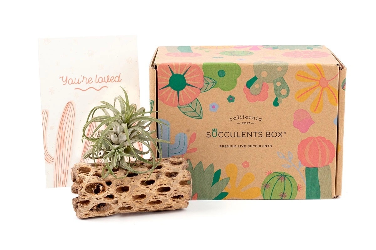 The Best Gardening Subscription Boxes: Seeds, Plants, Succulents, Oh My! 