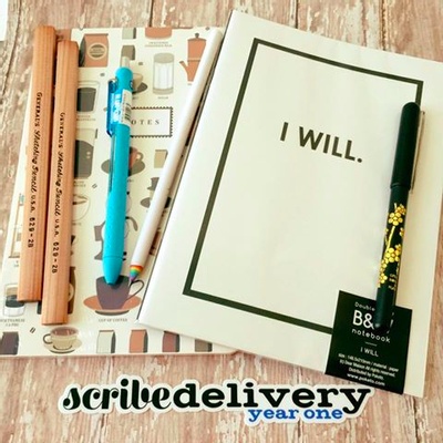 SCRIBEdelivery Subscription Photo 2