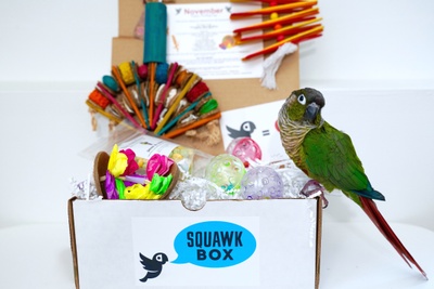 Squawk Box Photo 1