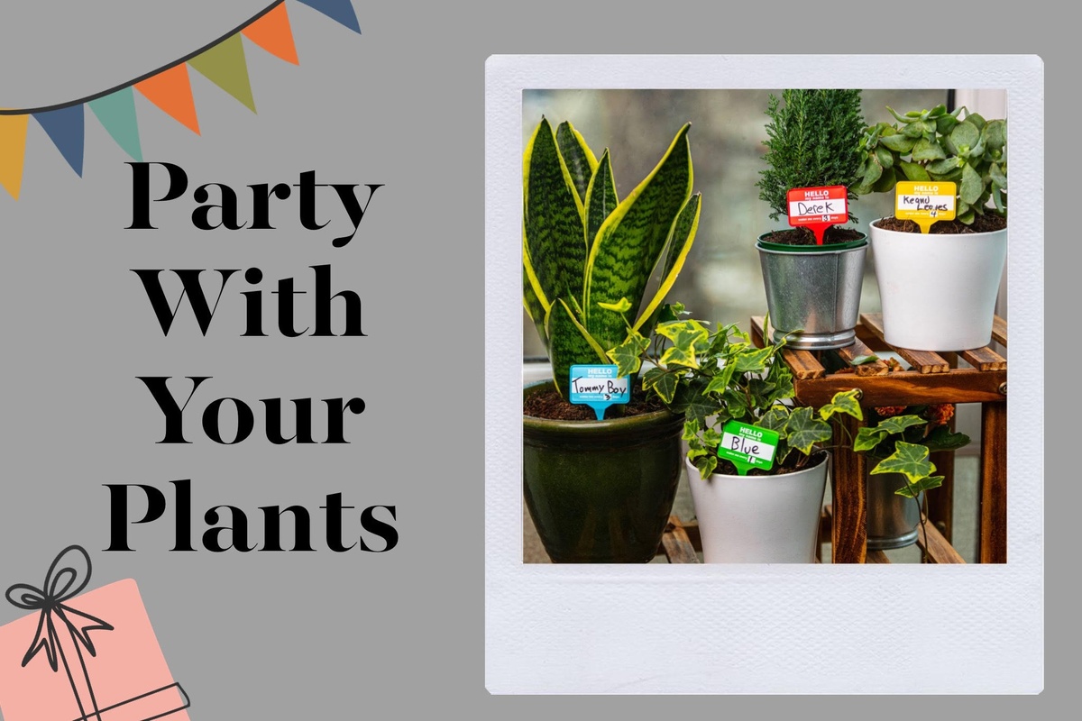 Party With Your Plants Photo 1