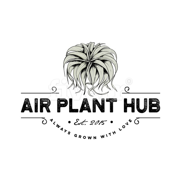 Air Plant Hub logo