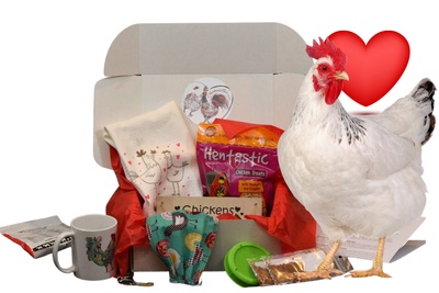 ChickenLuv Box Photo 1